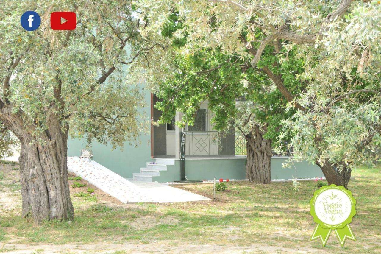 Prínos Villa "Elaeda Evdokia" מראה חיצוני תמונה